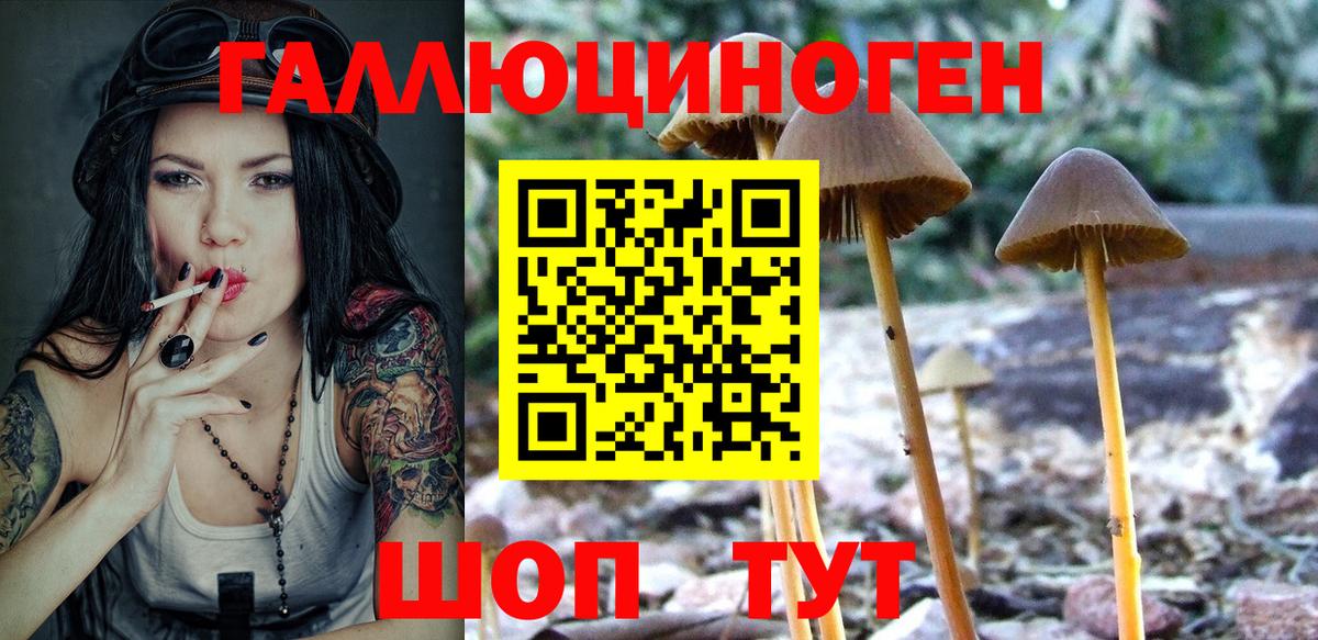 Галлюциногенные грибы GOLDEN TEACHER  Вход с VPN  Клин 