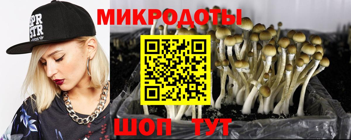 Псилоцибиновые грибы прущие грибы Клин